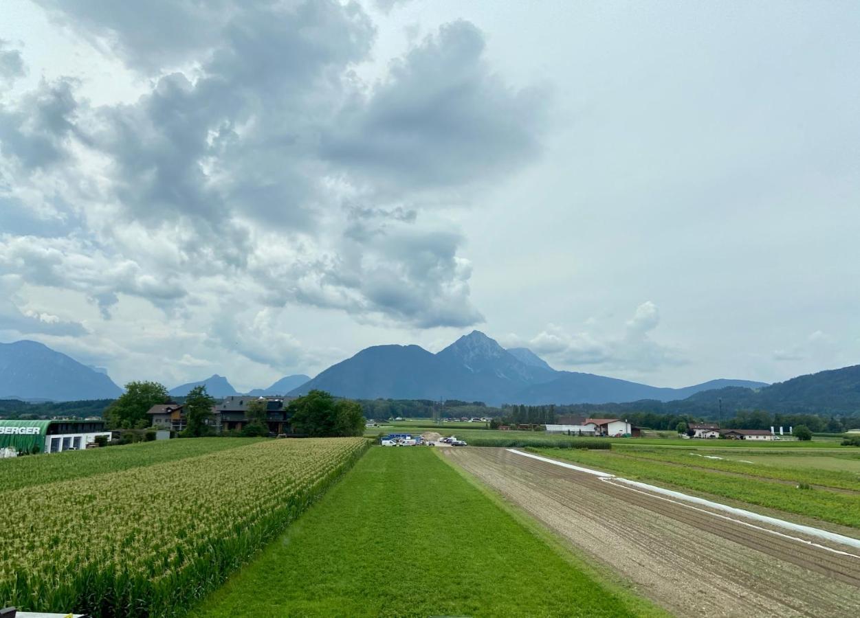 Wohnen Mit Bergausblick Leilighet Wals-Siezenheim Eksteriør bilde